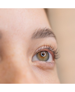 Teintures pour cils et sourcils - institut de beauté