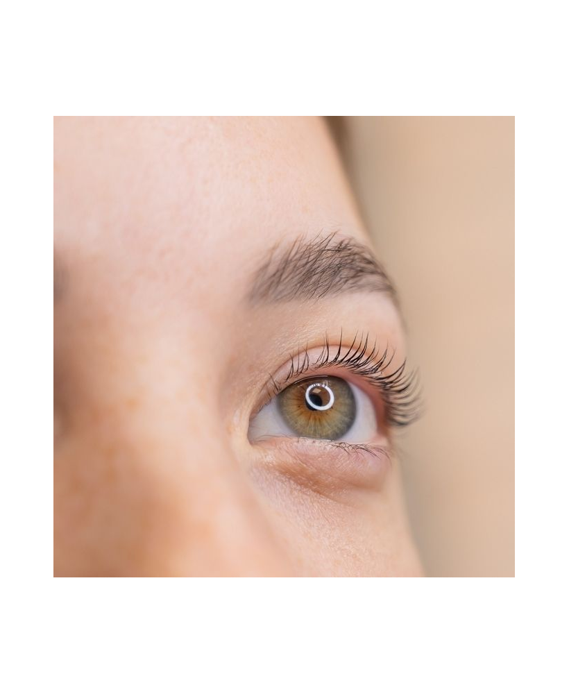 Teintures pour cils et sourcils - institut de beauté