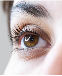 Lash Botox - traitement des cils - Lézignan Corbières