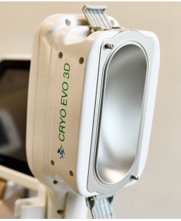 Cryolipolyse poignées d'amour