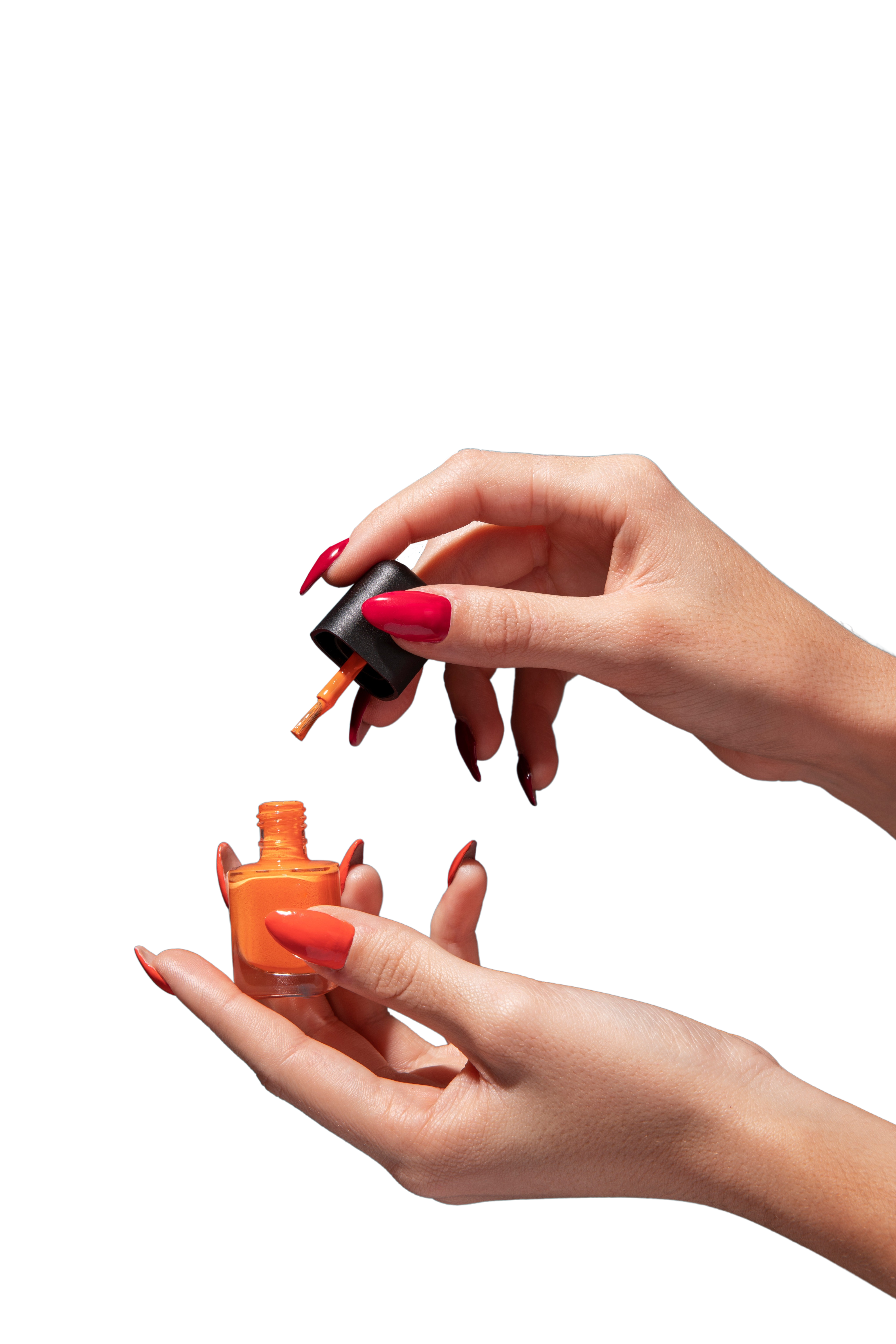 Technicité maîtrisée